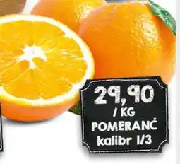Jip Pomeranč nabídka