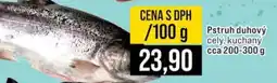Jip Pstruh duhový nabídka