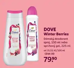 Rossmann DOVE Winter Berries nabídka