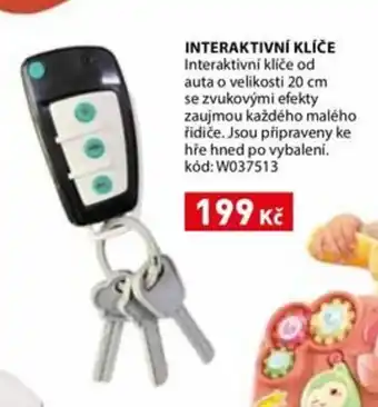 Wiky Interaktivní klíče nabídka