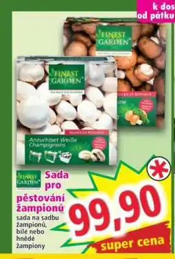 Norma Sada pro pěstování žampionů nabídka