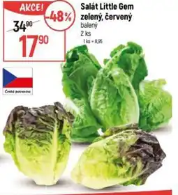 Globus Salát Little Gem zelený, červený balený nabídka
