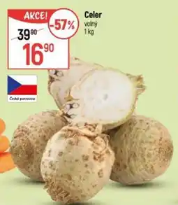 Globus Celer volný nabídka