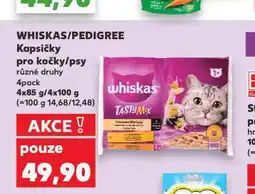Kaufland Pedigree kapsičky pro psy nabídka