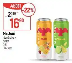 Globus Mattoni různé druhy plech nabídka