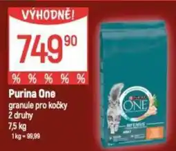 Globus Purina One granule pro kočky 2 druhy nabídka