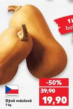 Kaufland Dýně máslová nabídka