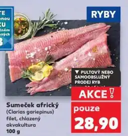 Kaufland Sumeček africký nabídka