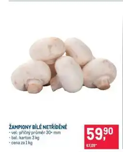 Makro Žampiony bílé netříděné nabídka