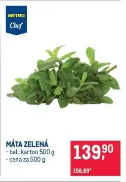 Makro Máta zelená nabídka