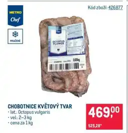 Makro Chobotnice květový tvar nabídka