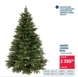 Makro Vánoční stromek Royal nabídka