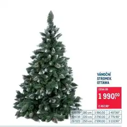 Makro VÁNOČNÍ STROMEK OTTAWA nabídka