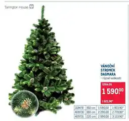 Makro Vánoční stromek Dagmara nabídka