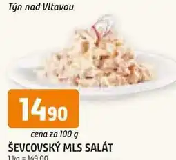 Trefa ŠEVCOVSKÝ MLS SALÁT 100 g nabídka