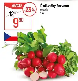 Globus Ředkvičky červené svazek nabídka