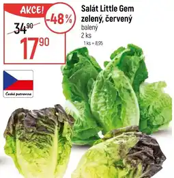 Globus Salát Little Gem zelený, červený nabídka