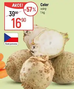 Globus Celer volný nabídka