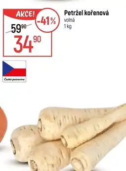 Globus Petržel kořenová nabídka