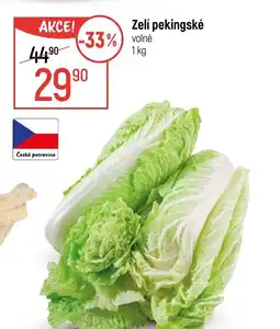 Globus Zelí pekingské nabídka