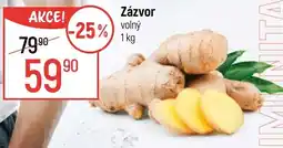 Globus Zázvor nabídka