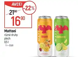 Globus Mattoni nabídka