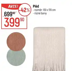 Globus Pléd nabídka