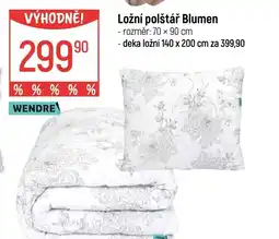 Globus Ložní polštář Blumen nabídka