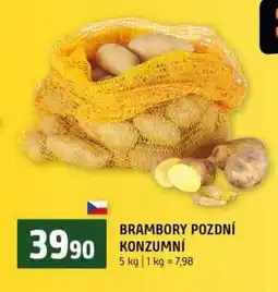 Terno BRAMBORY POZDNÍ KONZUMNÍ 5 kg nabídka