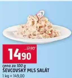 Terno Ševcovský mls salát 100g nabídka