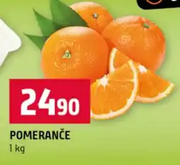 Terno Pomeranče nabídka