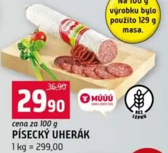 Terno Písecký uherák nabídka