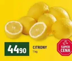 Terno Citrony nabídka