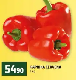 Terno Paprika červená nabídka