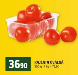 Terno Rajčata oválná nabídka