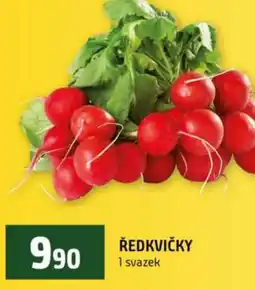 Terno Ředkvičky nabídka