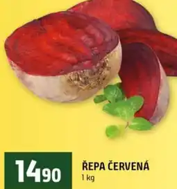 Terno Řepa červená nabídka