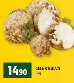 Terno Celer bulva nabídka