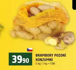 Terno Brambory pozdní konzumní nabídka