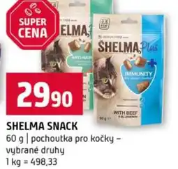 Terno Shelma snack nabídka