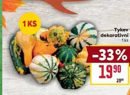 Billa Tykev dekorativní 1 ks nabídka