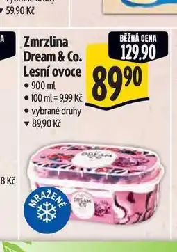 Albert Zmrzlina Dream & Co. Lesní ovoce 900 ml nabídka