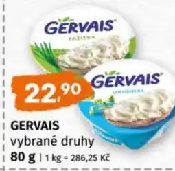 Terno Gervais nabídka