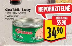 Albert Giana Tuňák - kousky 170 g nabídka