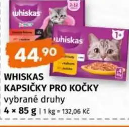 Terno Whiskas kapsičky pro kočky nabídka