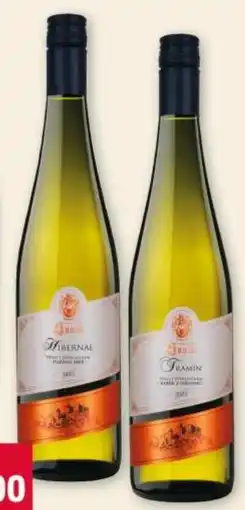 Terno Sovín nabídka