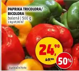 Penny Market PAPRIKA TRICOLORA/BICOLORA nabídka