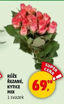 Penny Market Růže řezané, kytice mix nabídka