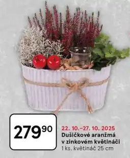 Tesco Dušičkové aranžmá v zinkovém květináči nabídka