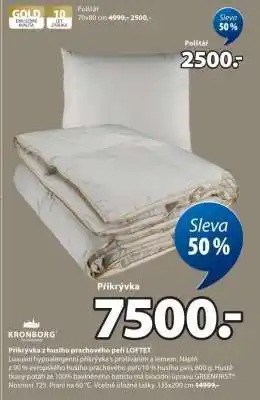 Přikrývka z husího prachového peří LOFTET